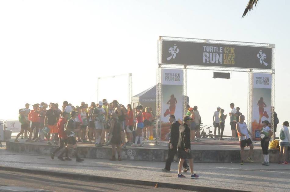 turtle 2014 a caminho da largada