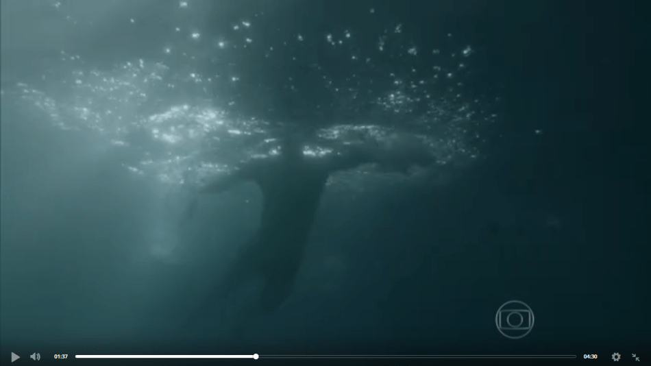 rede sarah piscina 6