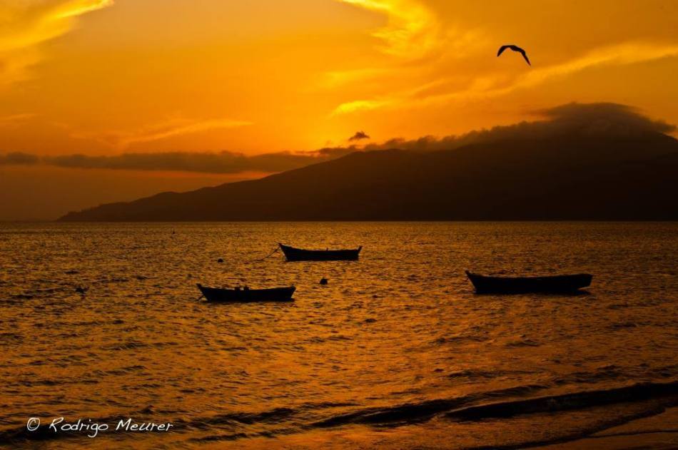 14796002_876902329112081_1386910508_o-1