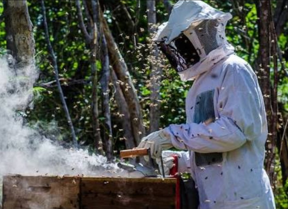 Screenshot_20170427-173753